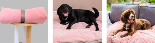 The Big Little Duvet Company pets offers on white background