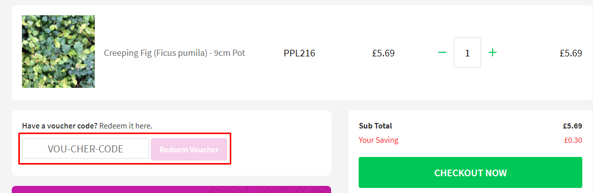 How do I use my Reptile Centre voucher code?