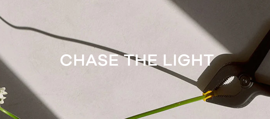 About LIGHTSAVER