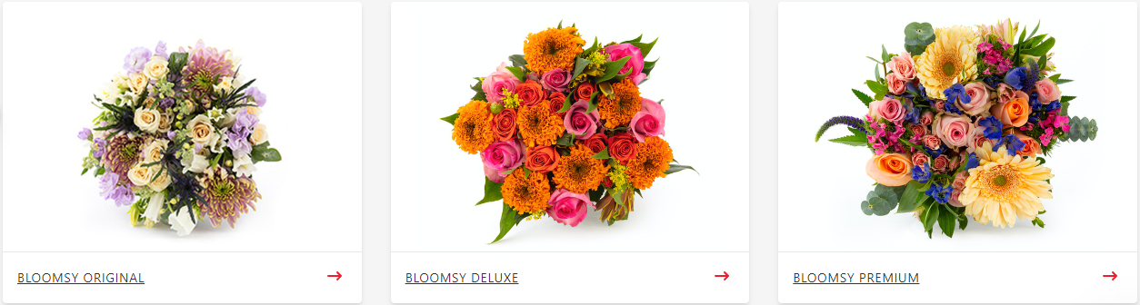 BloomsyBox plan