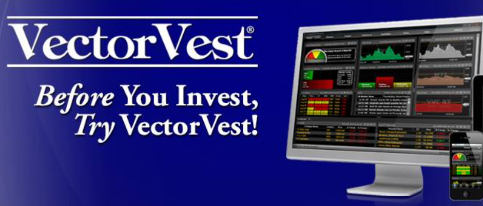 About VectorVest Homepage
