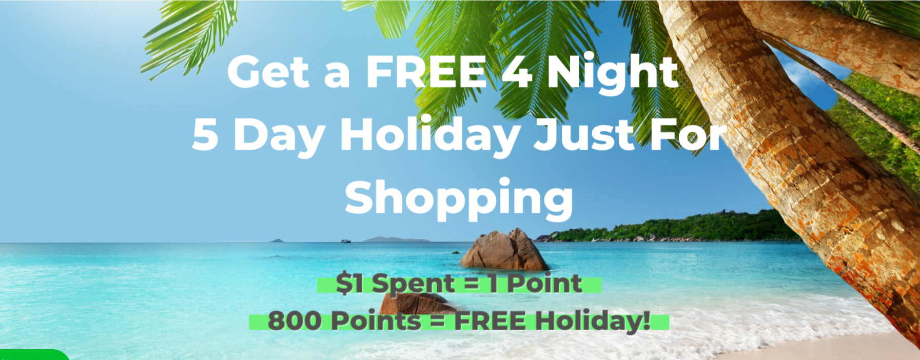 Later Gator Coupon and Promo Codes June 2024