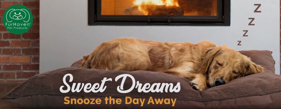 About FurHaven Pet Products Homepage