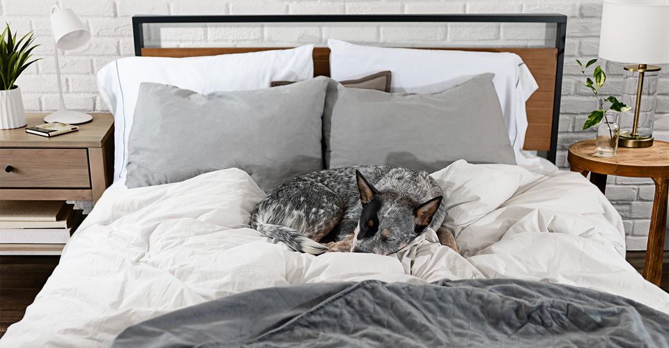 About Bare Home