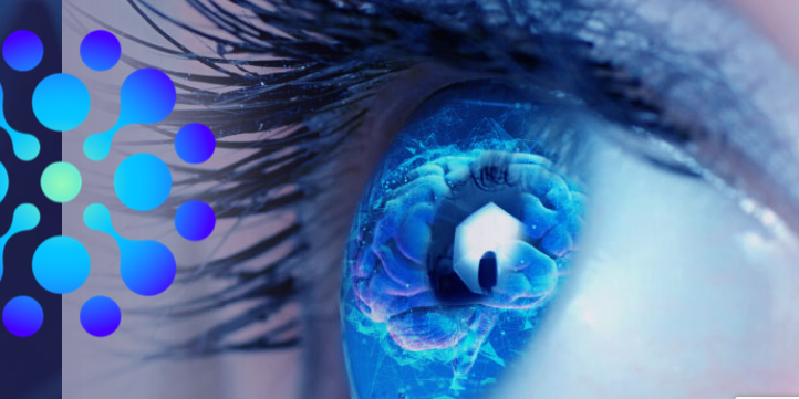 About RevitalVision