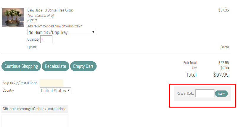 How do I use my Bonsai Boy discount code?