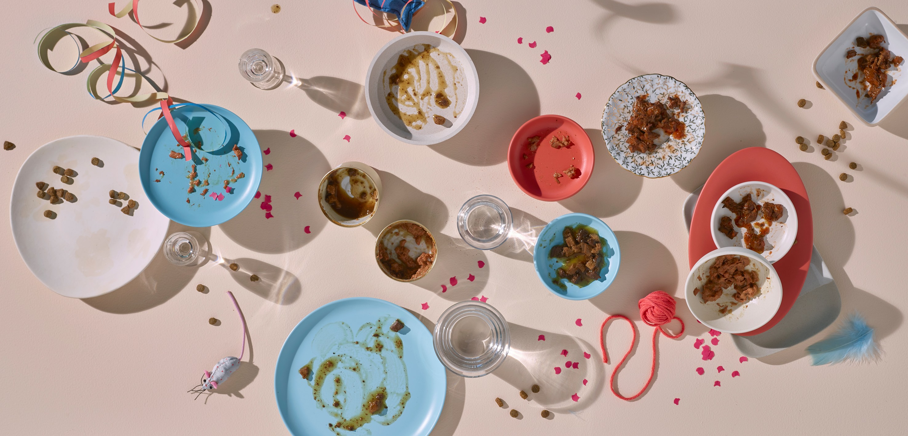 Republic of Cats Discount Code July 2024