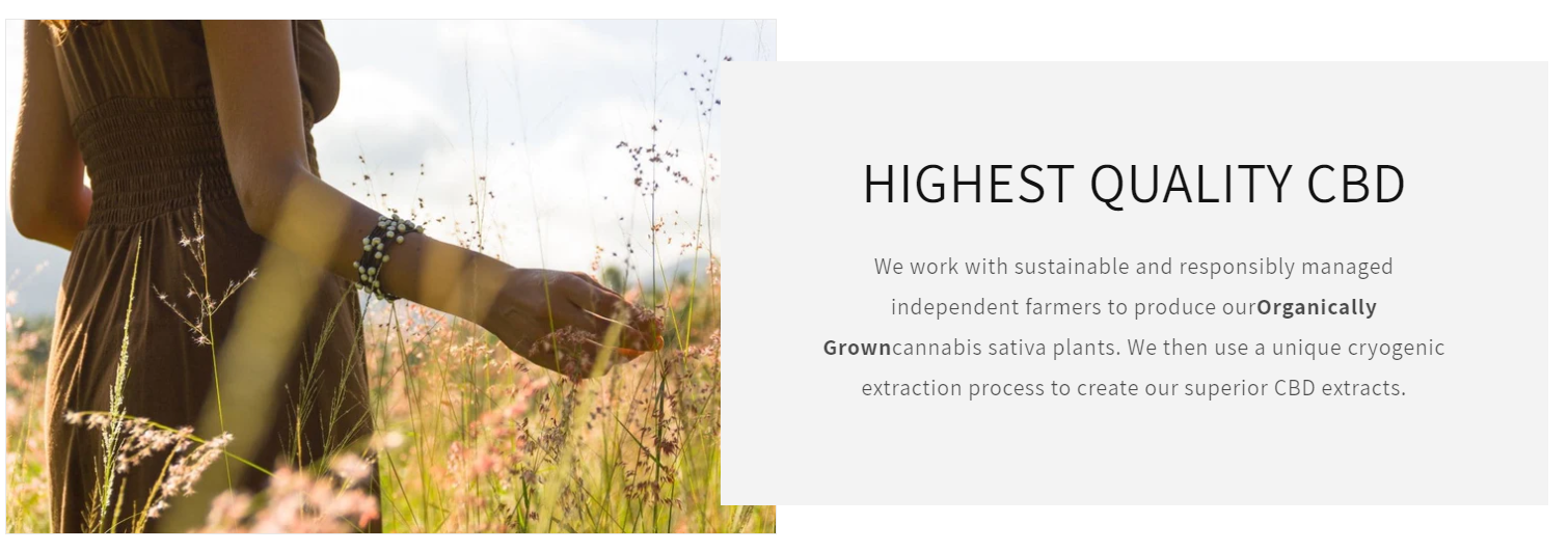 About SMOKO CBD