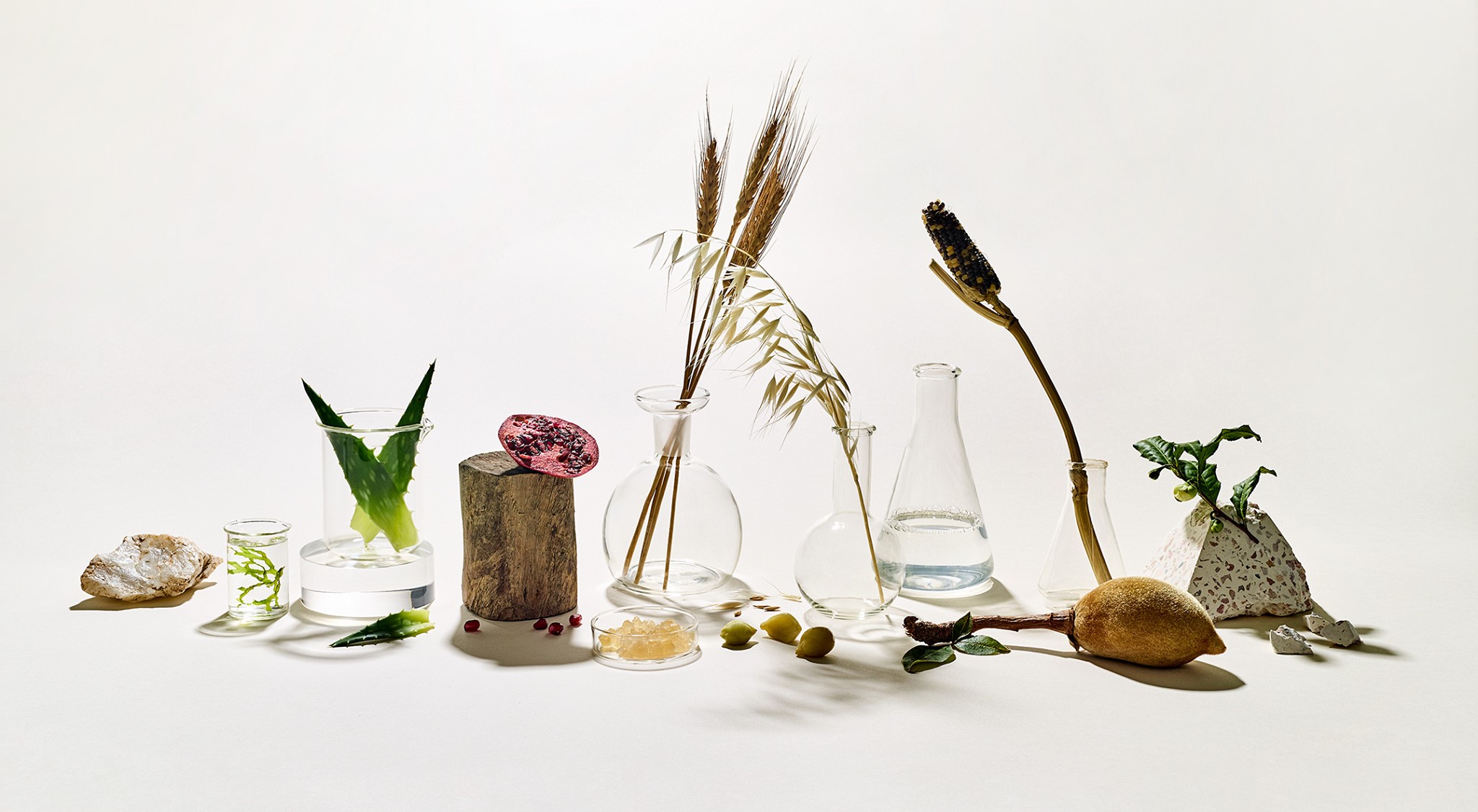 About Nuebiome