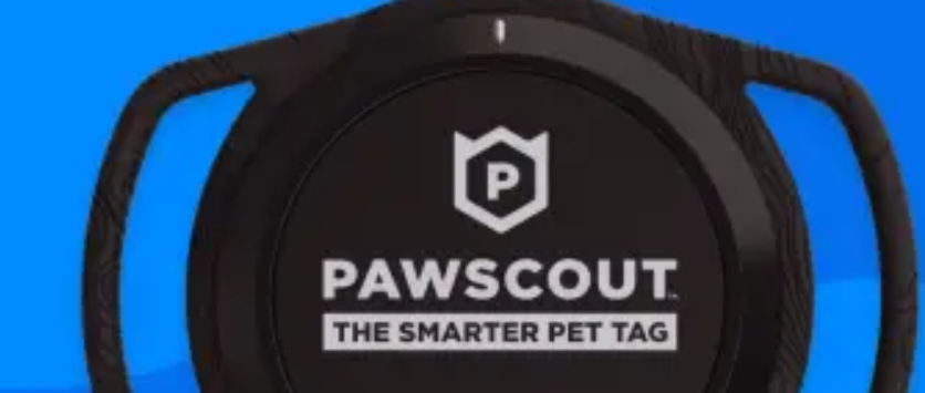 About Pawscout Homepage