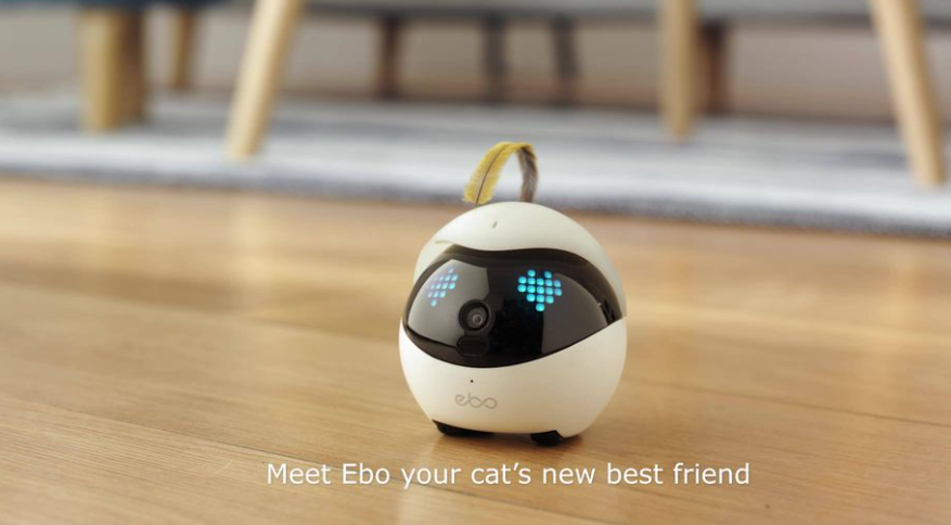 About Enabot Homepage