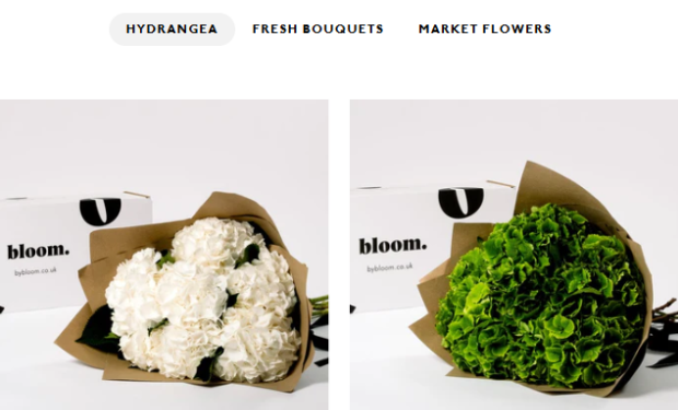 bloom. categories to shows
