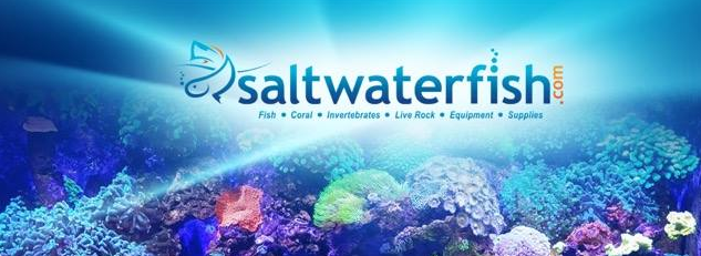 About Saltwaterfish.com Homepage