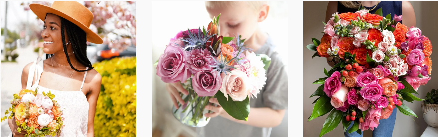 UrbanStems products