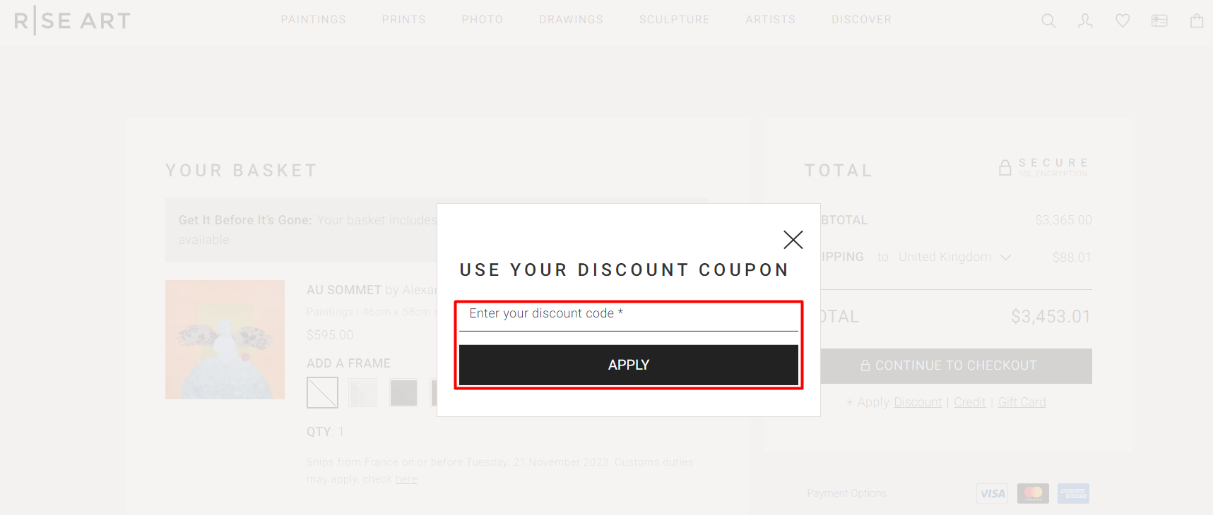 How do I use my Rise Art discount code?