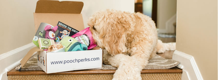 About Poochperks Homepage