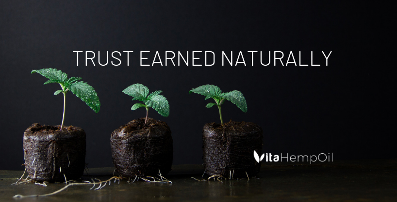 About Vita Hemp Oil Homepage