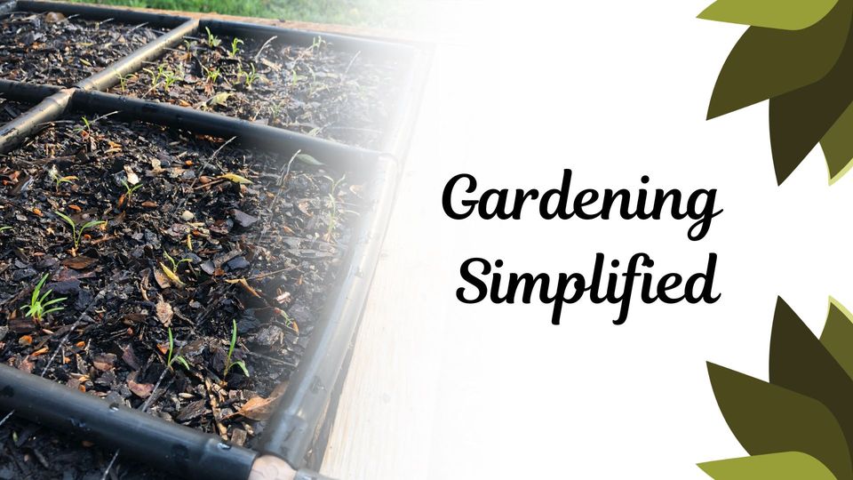 About Garden In Minutes