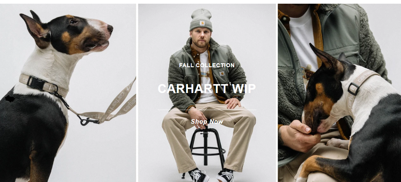 The Chimp Store Coupon & Promo Codes July 2024