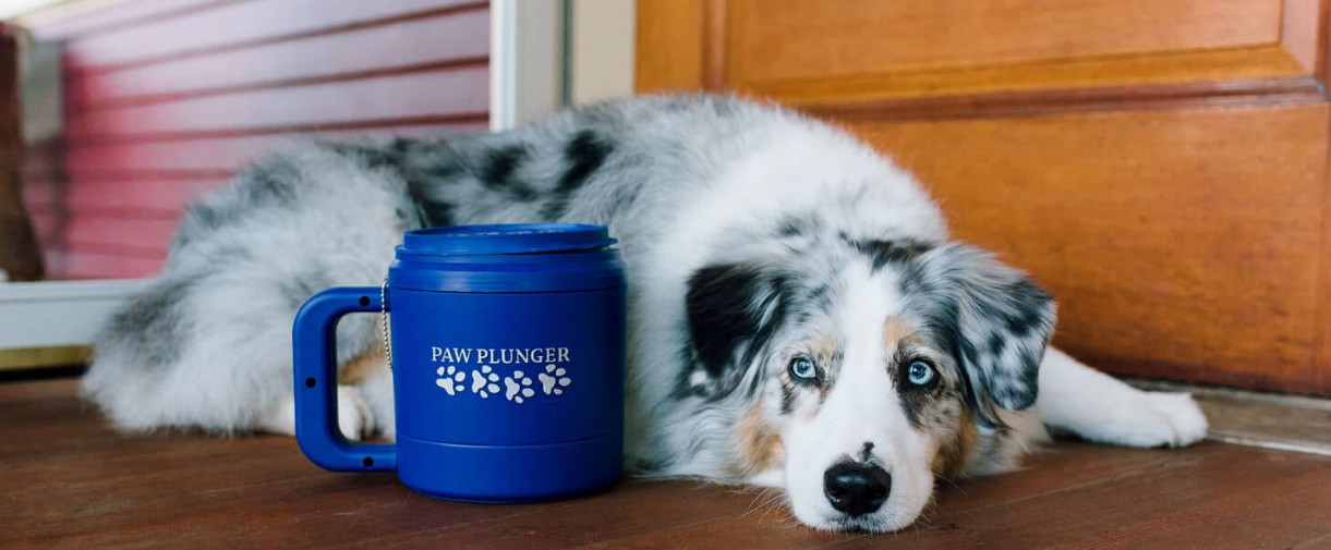 About Pet Product Innovations LLC