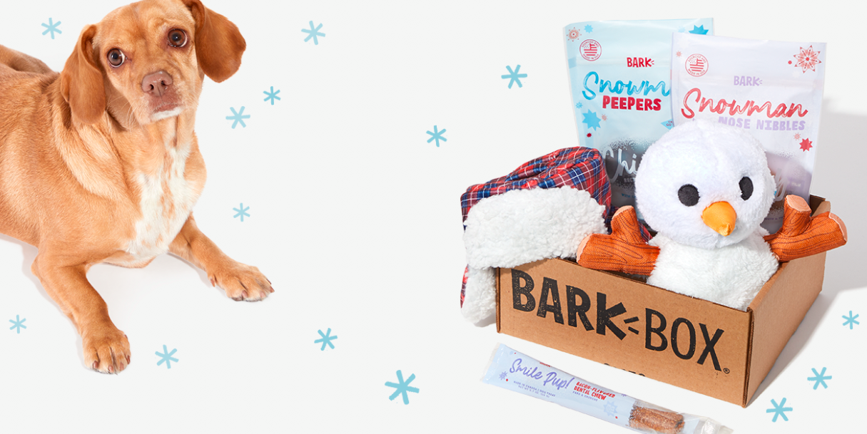 About BarkBox Homepage