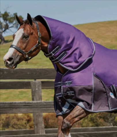 A Weatherbeeta ComFiTec and dynamic lightweight detachable neck turnout rug from Equus