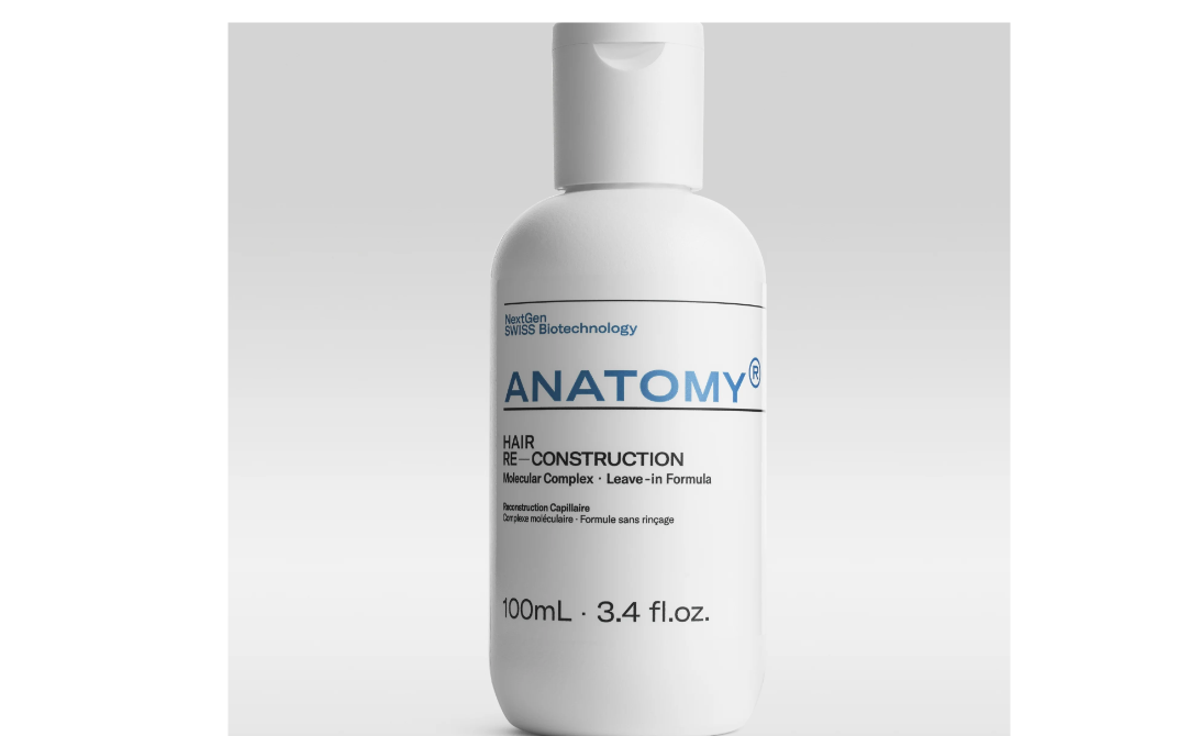 About Anatomy Homepage