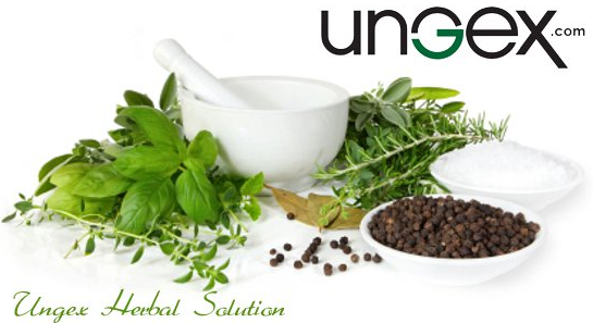 About Ungex Homepage