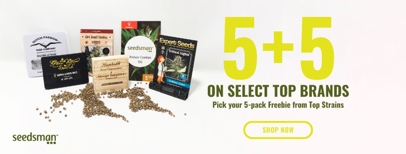 About Seedsman Homepage