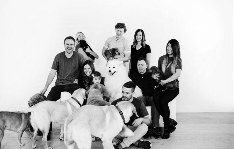 How Do I Use My pupford Promo Code?