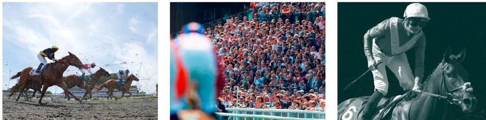 Haydock Park Racecourse horse racing, crowds and jockeys on race day