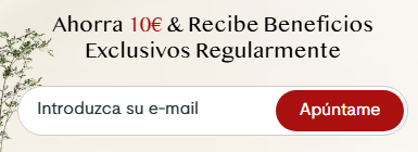 imagen de la web de FlexiSpot del boletín y el descuento