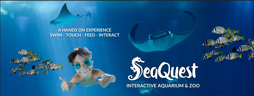About SeaQuest Homepage