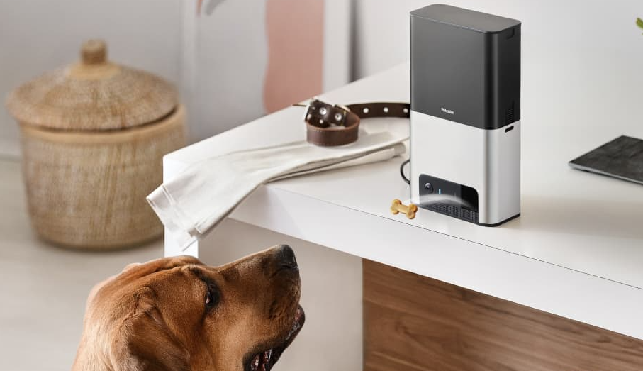 About Petcube Homepage