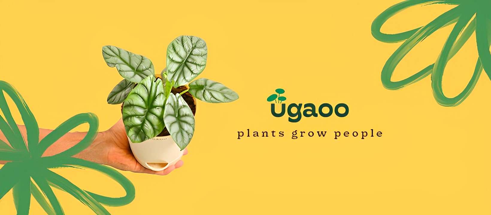 About Ugaoo