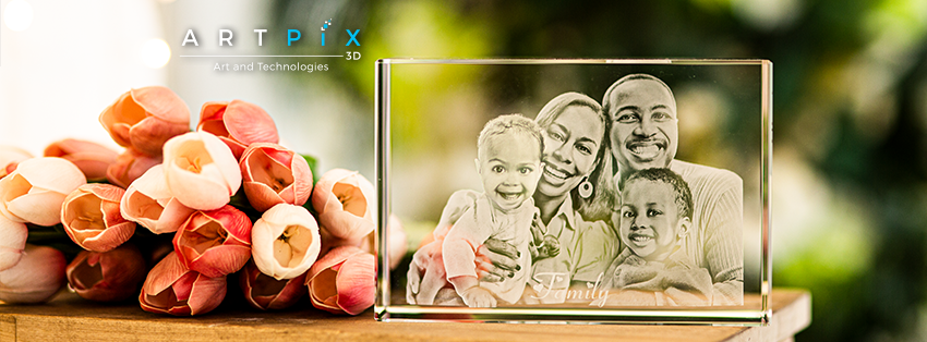 About ArtPix 3D