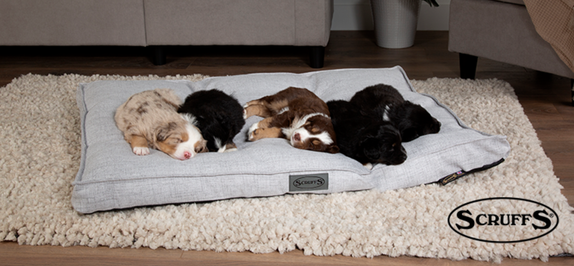 About Pets Love Scruffs Homepage