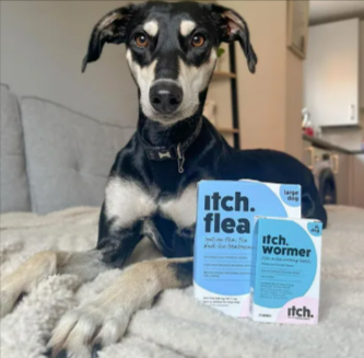 Itch flea and de-worming treaments bought using a refer-a-friend discount