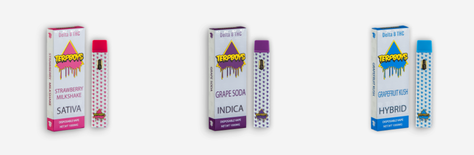 About TERPBOYS Homepage