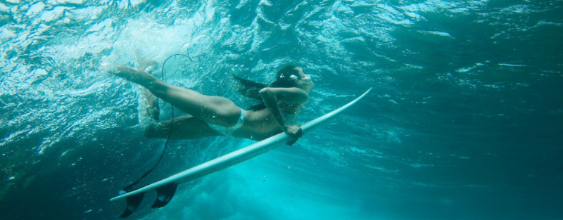 About ReefHomepage