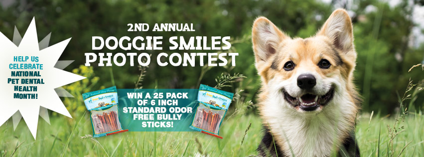 About Best Bully Sticks Homepage