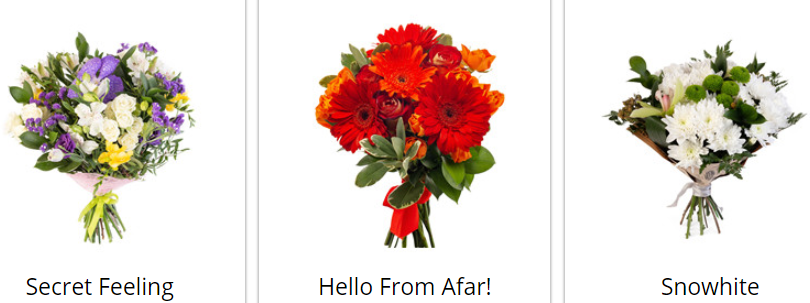 About Cyber-Florist Sales