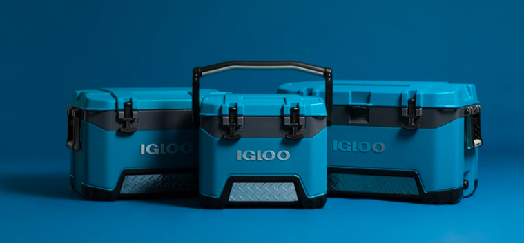 About Igloo Homepage