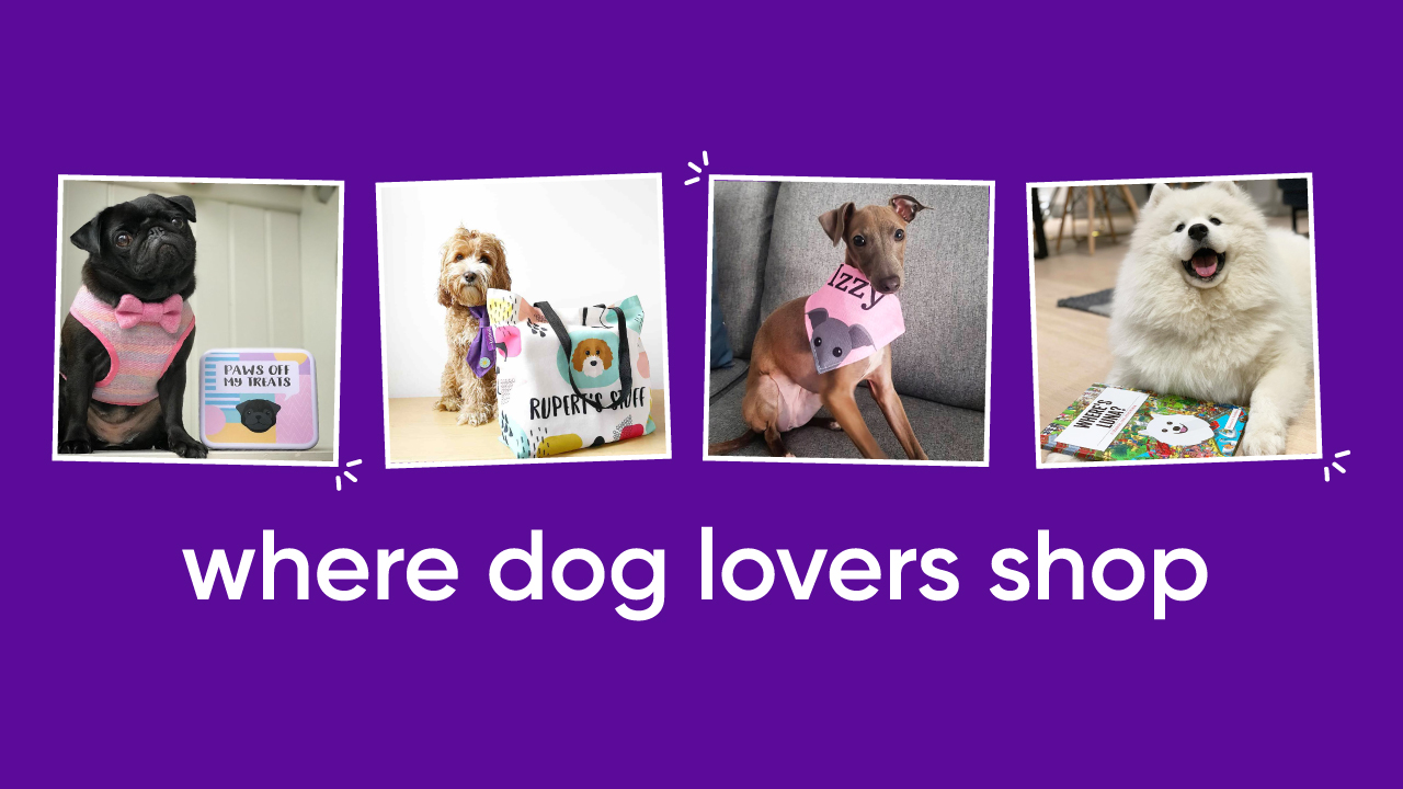 About Yappy Homepage