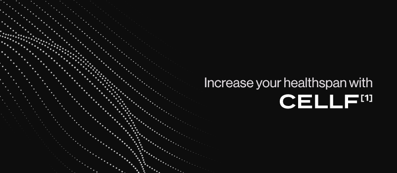About Mikra Homepage