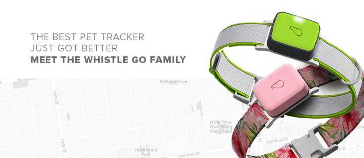 About Whistle Homepage