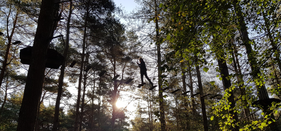 About Go Ape Homepage