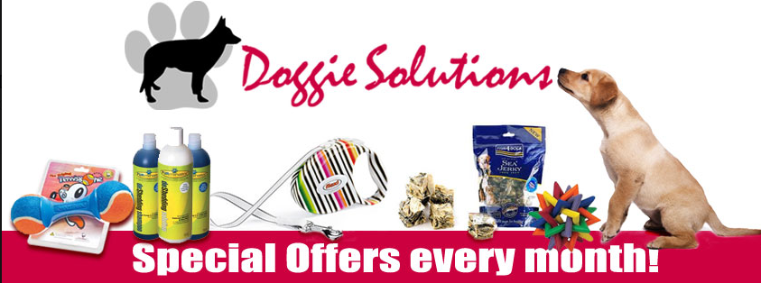 About Doggie Solutions Homepage
