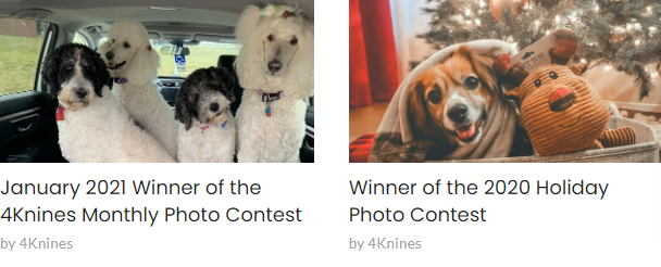 4knines photo contest