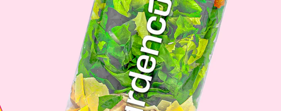 About Gardencup Homepage